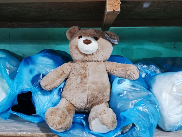 2401-39 Медведь