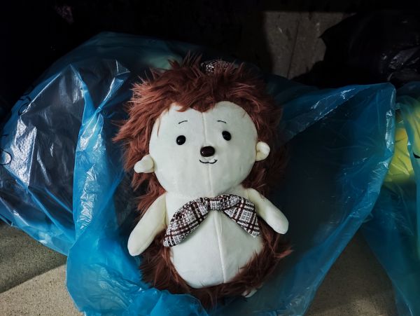 1280-0660/25 Ежик