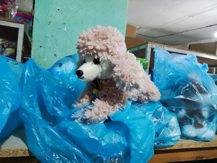 1280-0662/30 Пудель кудря лежит