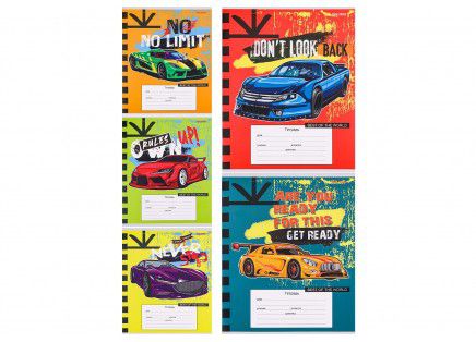 18-6808 Тетрадь КЛЕТКА/ЛИНИЯ 18л. МИКС