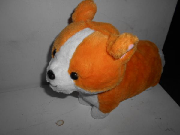 1541-222/29 Корги