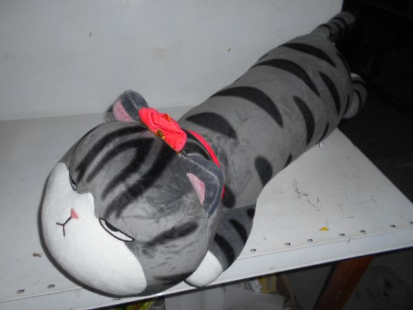 0749-55/55 Кот лежит полосатый