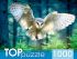 ШТ1000-3870 ПАЗЛЫ 1000 элементов. ПОЛЕТ СОВЫ.