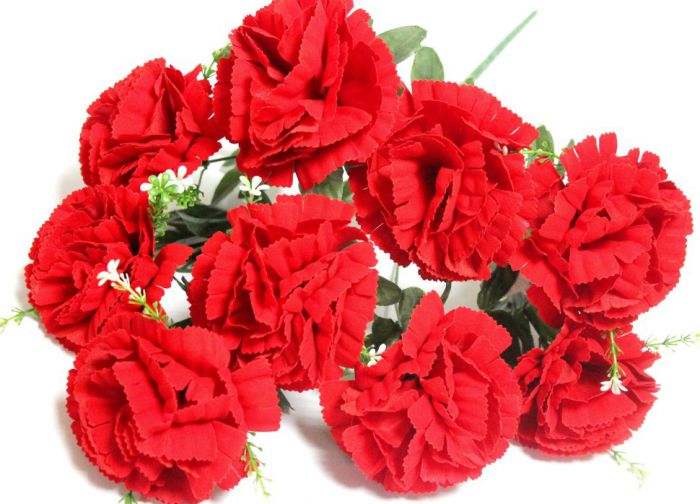 Б9814 Б/С Бук.крупн.ярких барх.гвоздик с доб.9г.Н56(10шт)