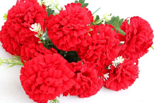 Б11923 Б/С Букет барх.ярких гвоздик с доб.9г."Магнит"52см(10шт)