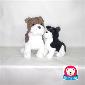 0749-012/45 Собака сидит