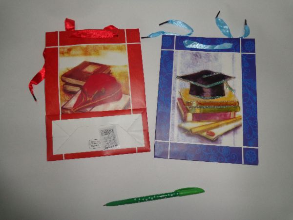 AR-6661 Пакет подарочный бумажный плотность 210ГР.