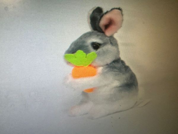 16/16 PA Зая морковь нат