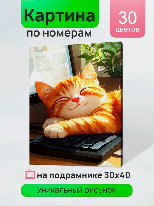 ХК-3915 Холст с красками 30x40 см по номерам (в коробке) (30 цв.)  Спящий милый котик