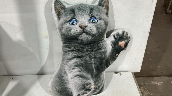 1280-88/55 Подушка Кот серый лапа