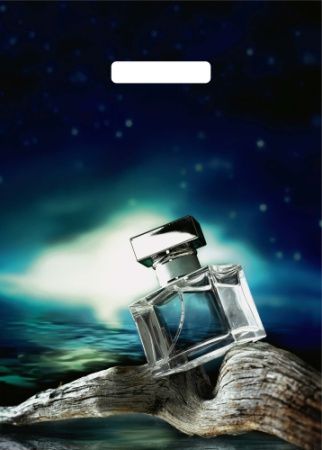 ВУР66586 Пакет подарочный, Артпласт «Мужской аромат», полиэтилен, 290х400 мм, 35 мкм, с вырубной руч