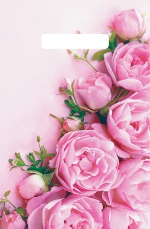 ВНР55127 Пакет подарочный, Артпласт «Ненси», полиэтилен, 200х300 мм, 30 мкм, с вырубной ручкой