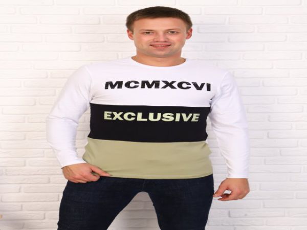 Джемпер 26543 мужской (цвета в ассортименте) раз-50