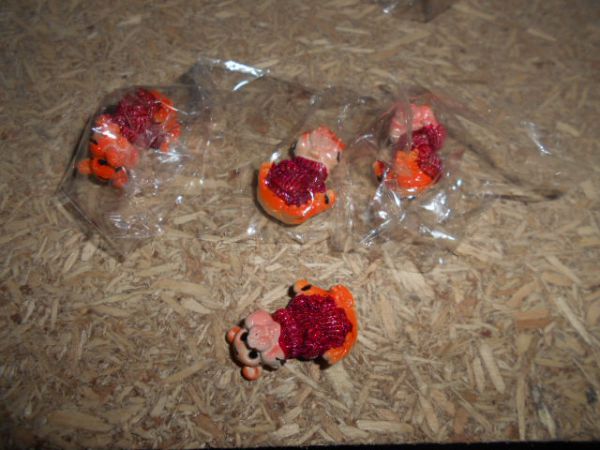 20404 Магнит символ года Тигр