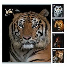 10449/5 ТЕТРАДЬ ЛИНИЯ 48Л ЖИВОТНЫЕ (10шт) ассорти